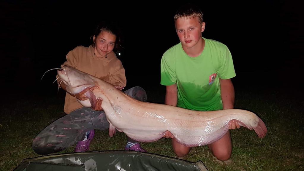 152cm